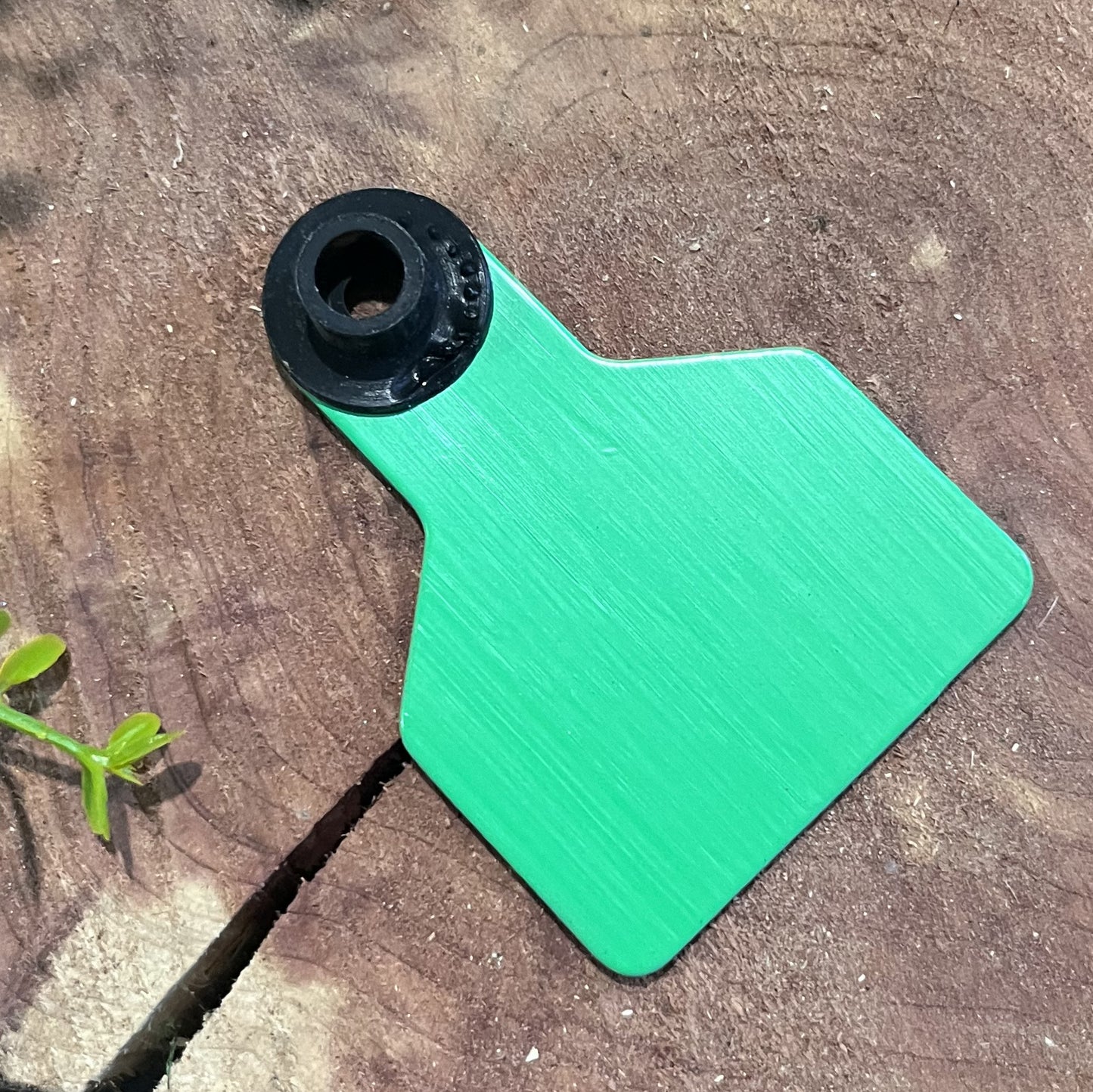 Green plastic tag with a black ring on a wooden surface