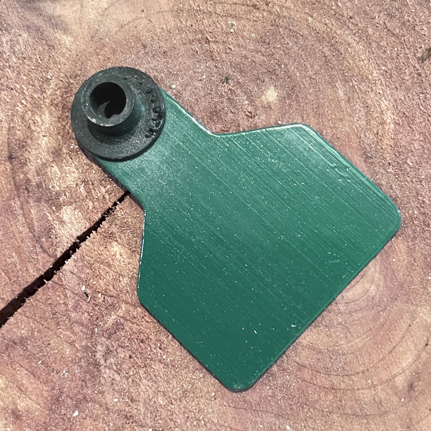 Green plastic tag with a black rubber band on a wooden surface