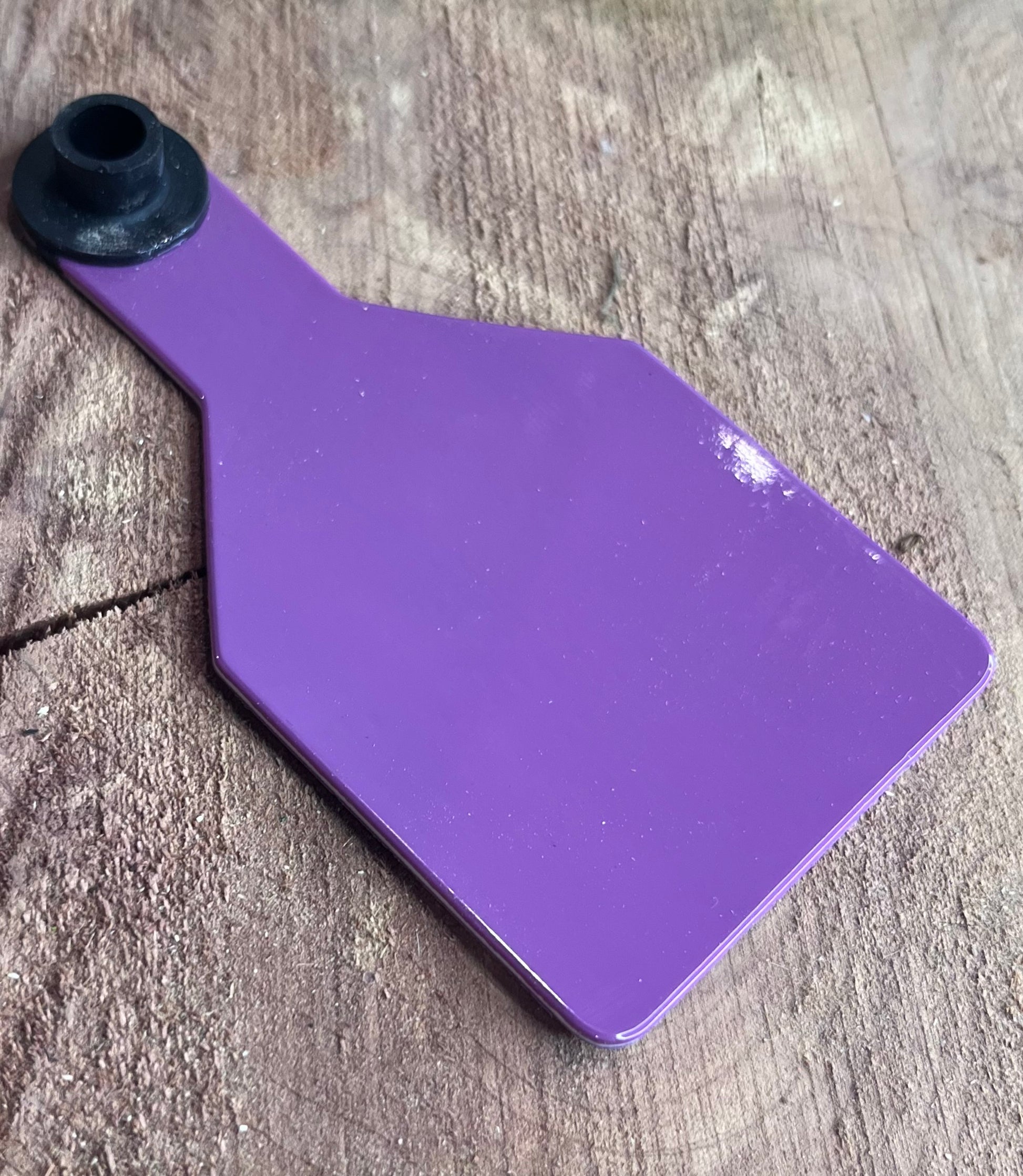 Purple plastic medium cow tag on a wooden surface with greenery in the corner