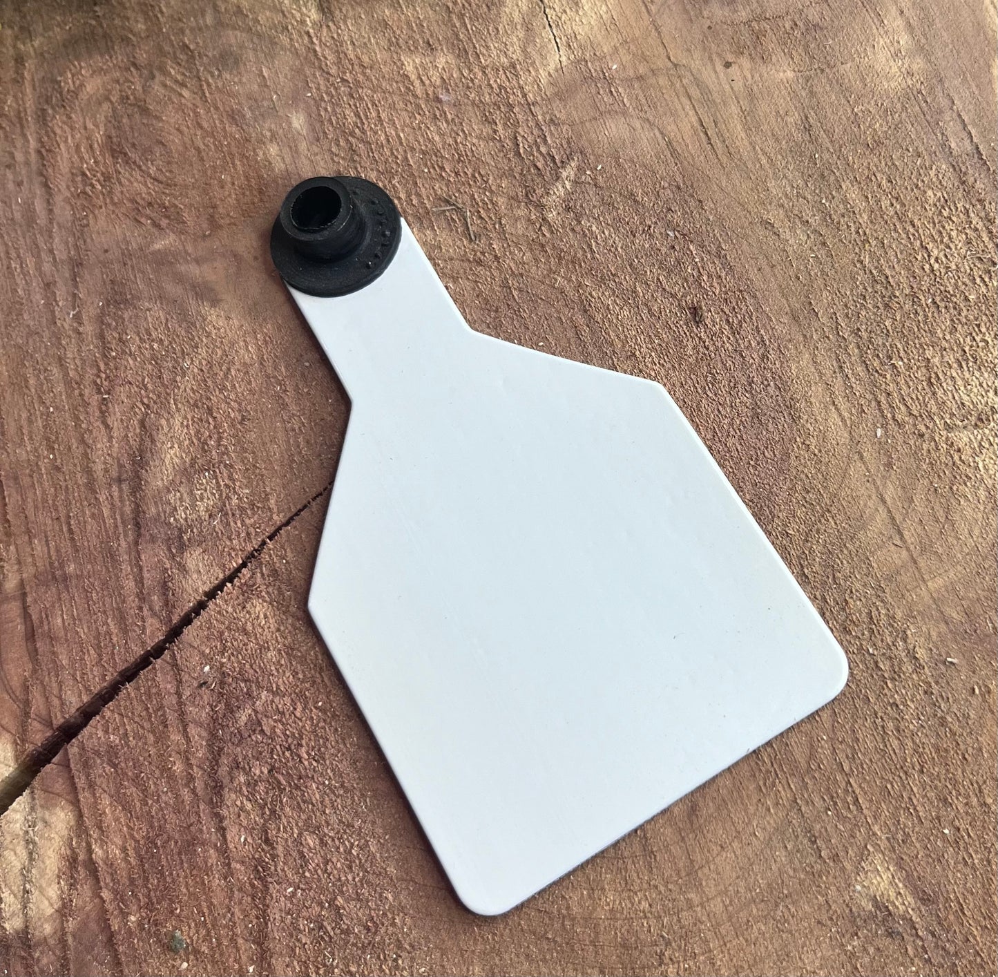 White plastic medium cow tag on a wooden surface with greenery in the corner