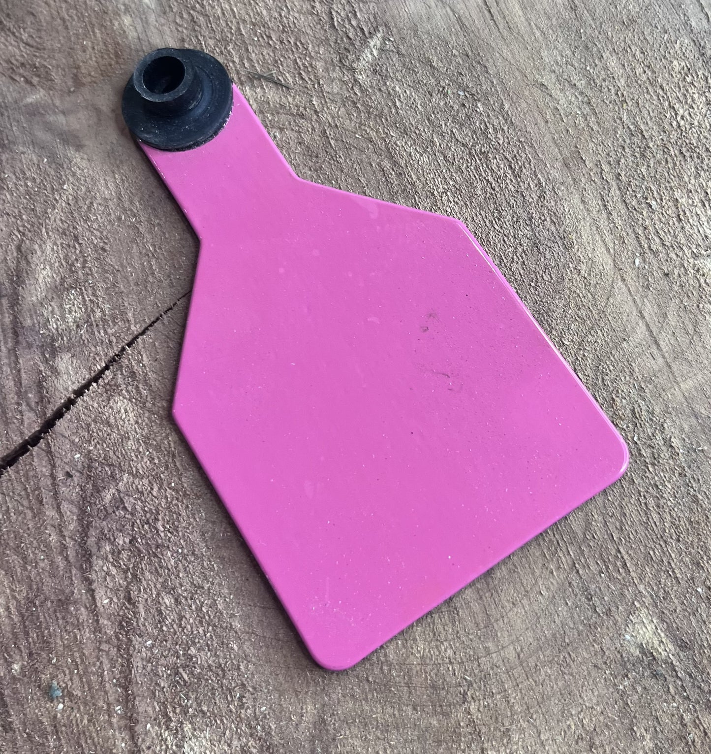 hot pink plastic medium cow tag on a wooden surface with greenery in the corner