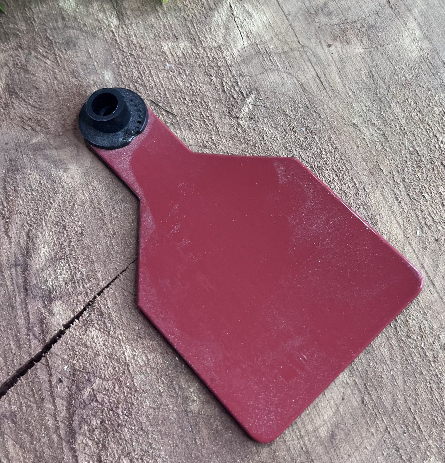 Red plastic medium cow tag on a wooden surface with greenery in the corner