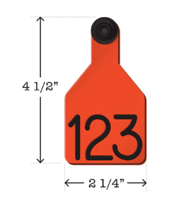 Orange livestock ear tag with black numbering and dimensions on a white background