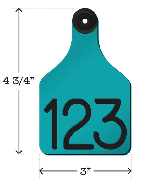 Teal cow tag with black numbers '123' and measurements on a white background