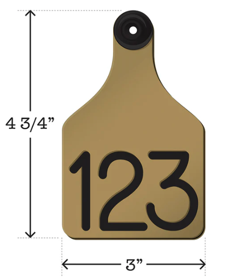 gold tag with black numbers '123' and measurements on a white background
